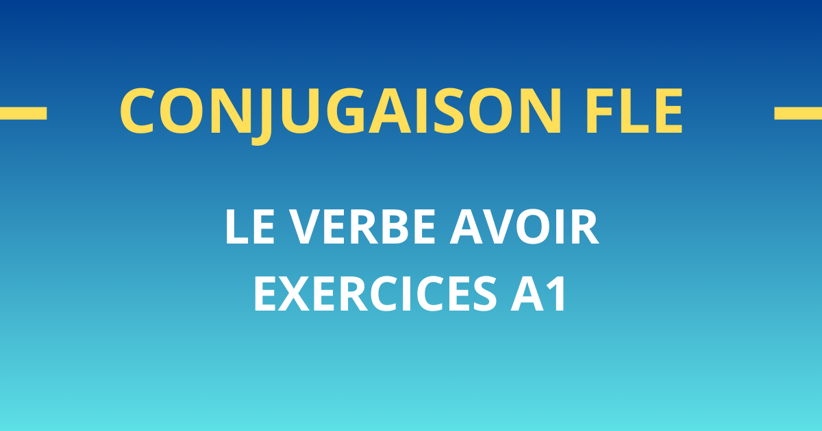 Conjugaison FLE A1 exercices verbe avoir
