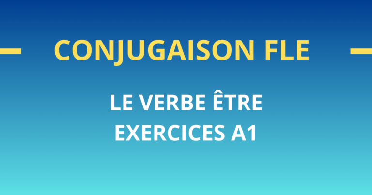 conjugaison fle verbe etre exercices a1