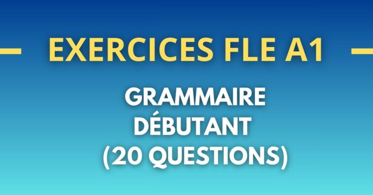 Excercice Français FLE a1 grammaire debutant