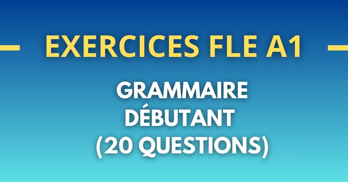 Excercice Français FLE a1 grammaire debutant