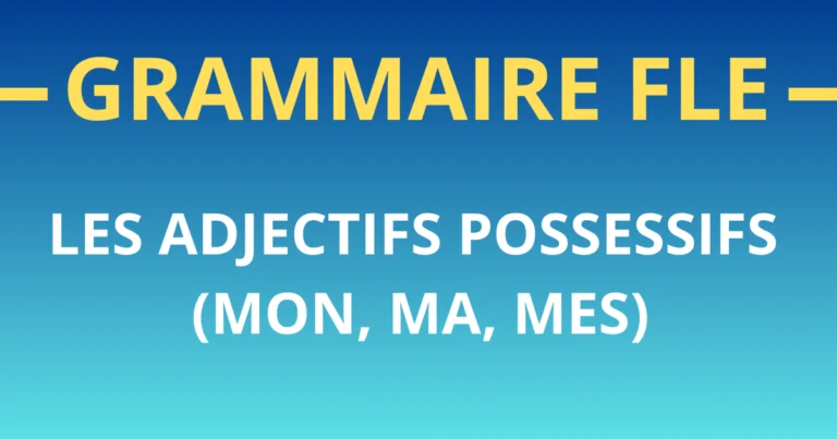 Grammaire-FLE les adjectifs-possessifs niveau a1