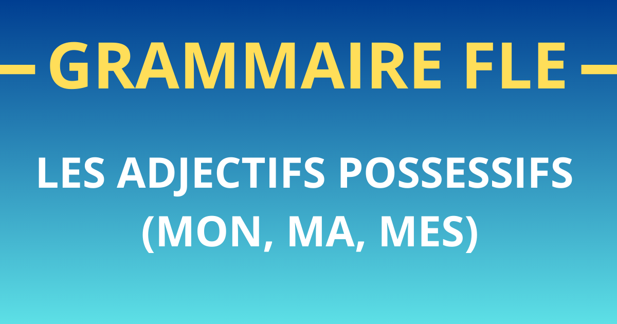 Grammaire-FLE les adjectifs-possessifs niveau a1