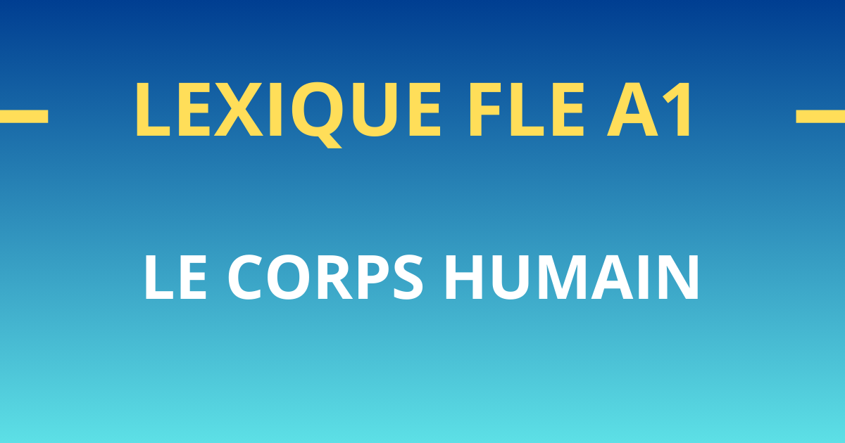 lexique fle a1 corps humain