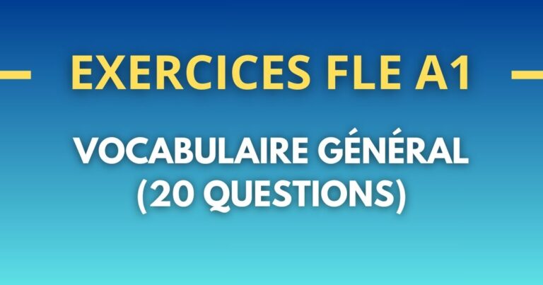 Exercices FLE A1 vocabulaire general