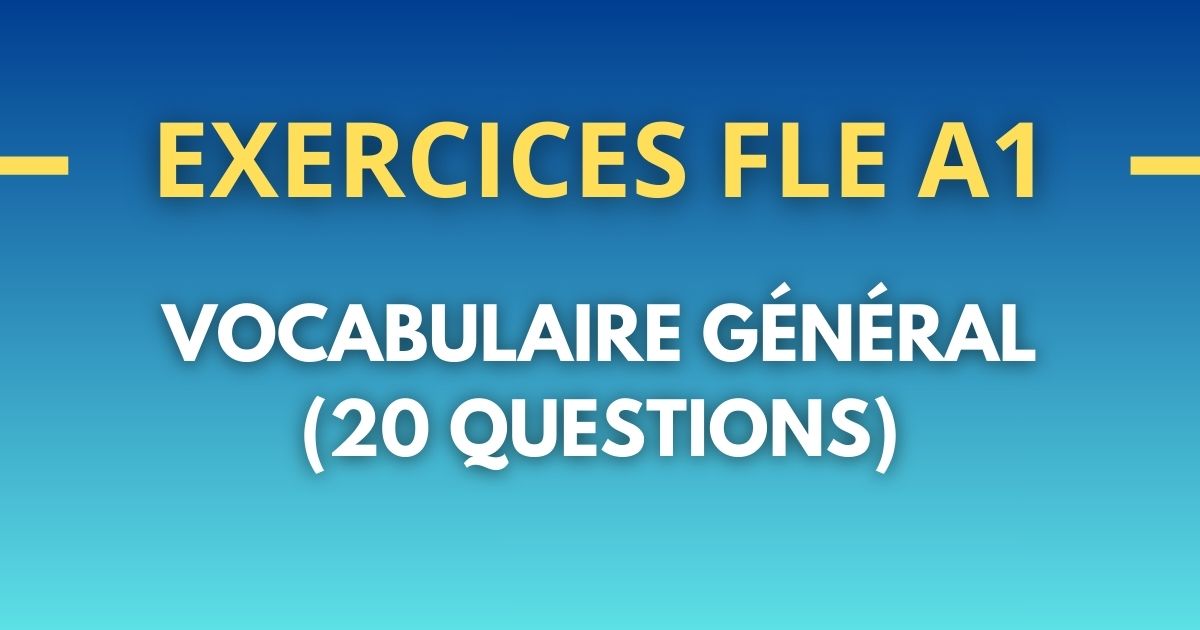 Exercices FLE A1 vocabulaire general
